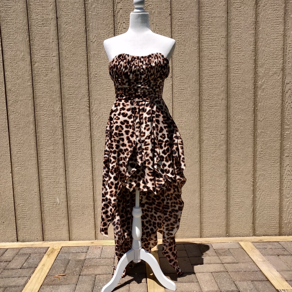 Windsor High Low Cheetah Dress